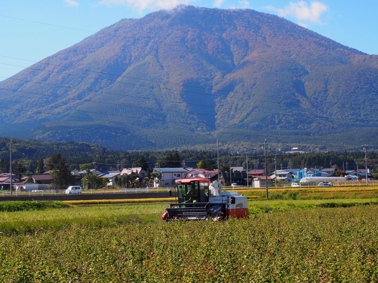 有限会社仁の蔵